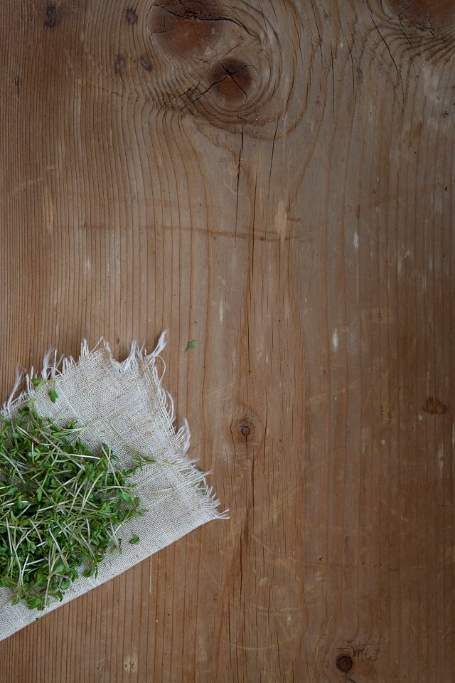 Natural product germ leaves naturkost