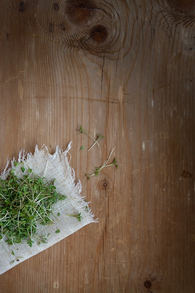 Natural product germ leaves naturkost