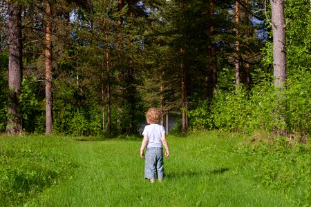 Promenade spring nature