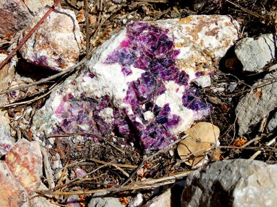 Stone crystal wildlife