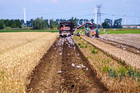 Agricultural harvest agricultural vehicle