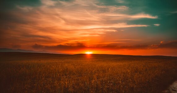 Meadow sunset dusk photo