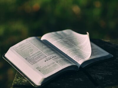 Chapter close-up information
