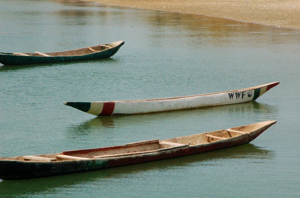Canoes fishing wood