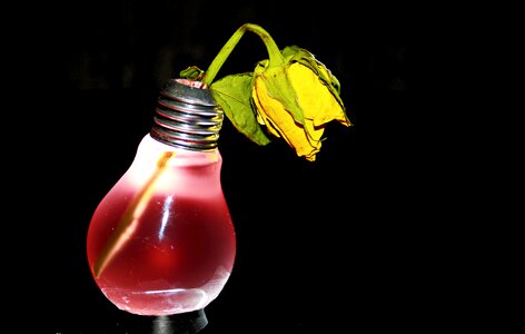 Pear light bulb red photo