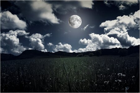 Full moon sky sky and moon photo