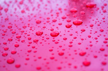 Water drops pink photo