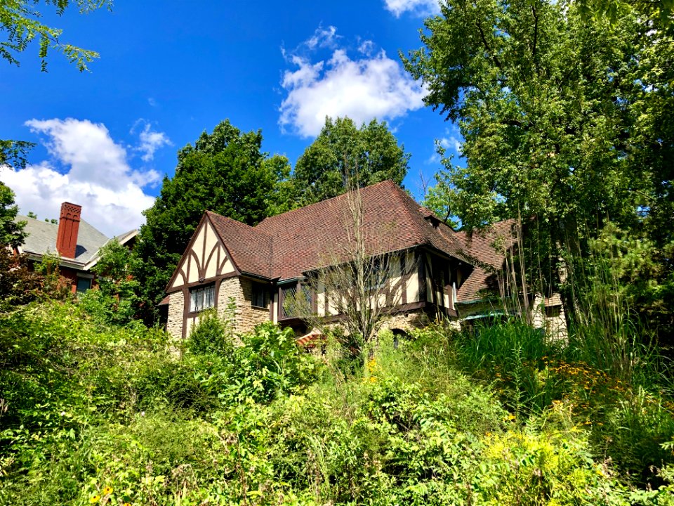 Avondale Avenue, North Avondale, Cincinnati, OH 