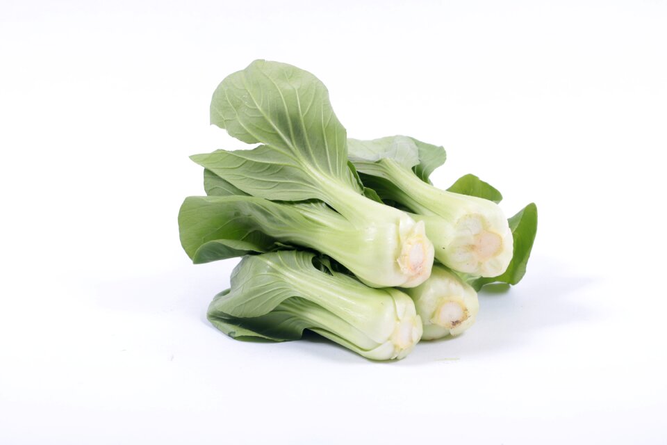 Vegetable salted vegetables white background