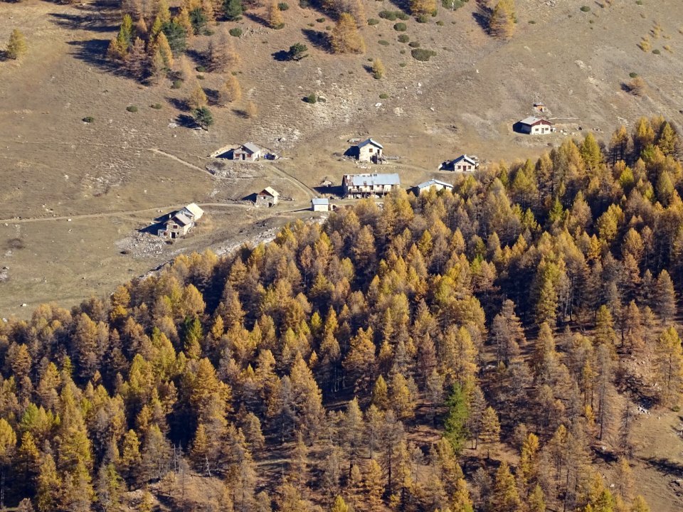 Chalets de l'Oriol de Queyrières 