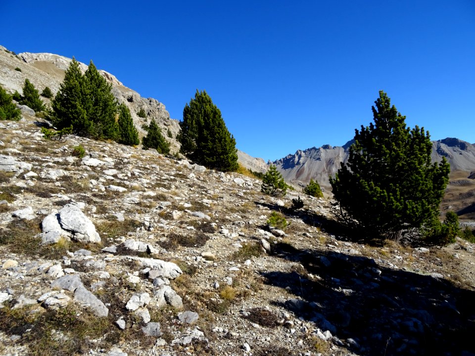 Vers le vallon de l'Ascension 