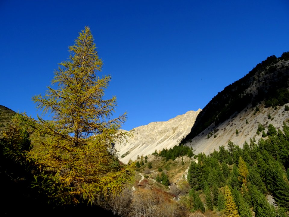 Un dernier regard en arrière vers le Vallon 