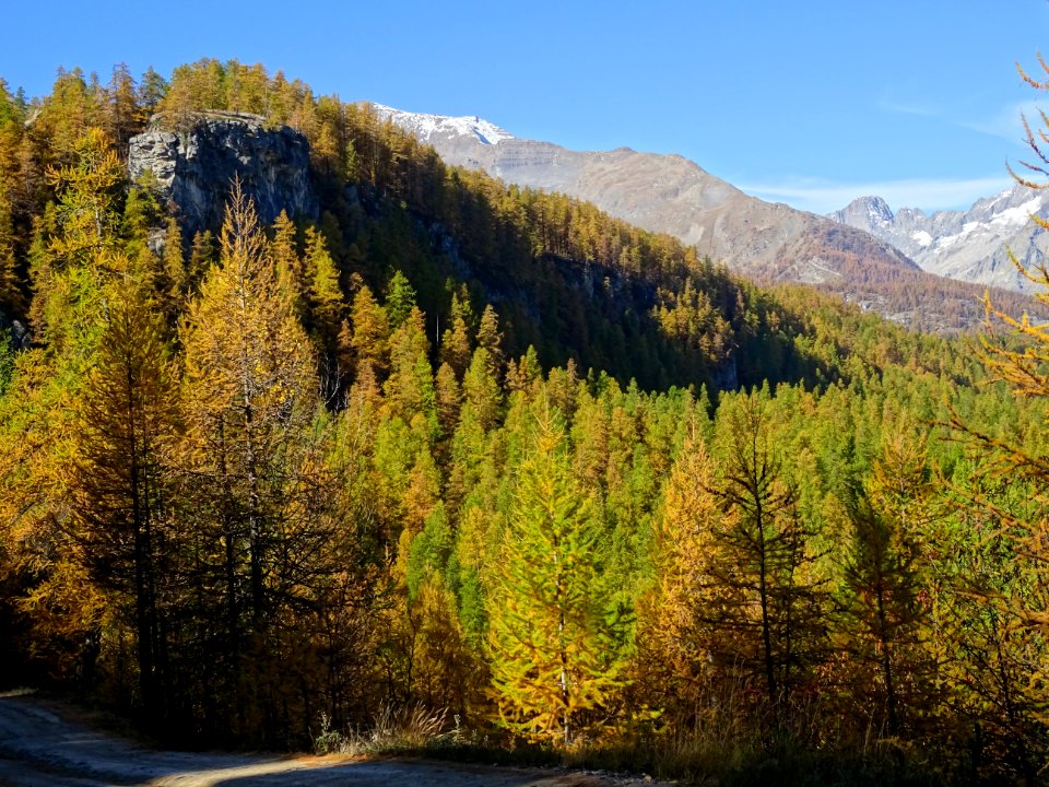 Crête de la Coste de l'Ase, Crête de Reychard, Les Bans 