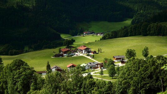 Place live nature