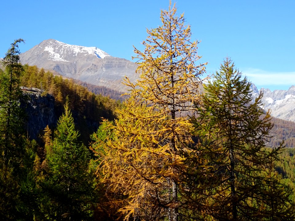 La Pointe de l'Aiglière 