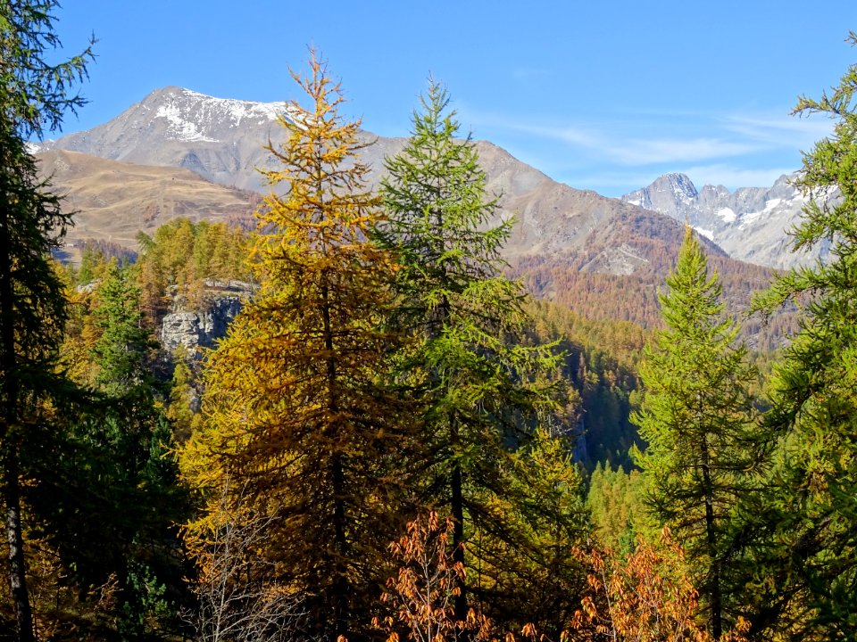 La Pointe de l'Aiglière, Les Bans 