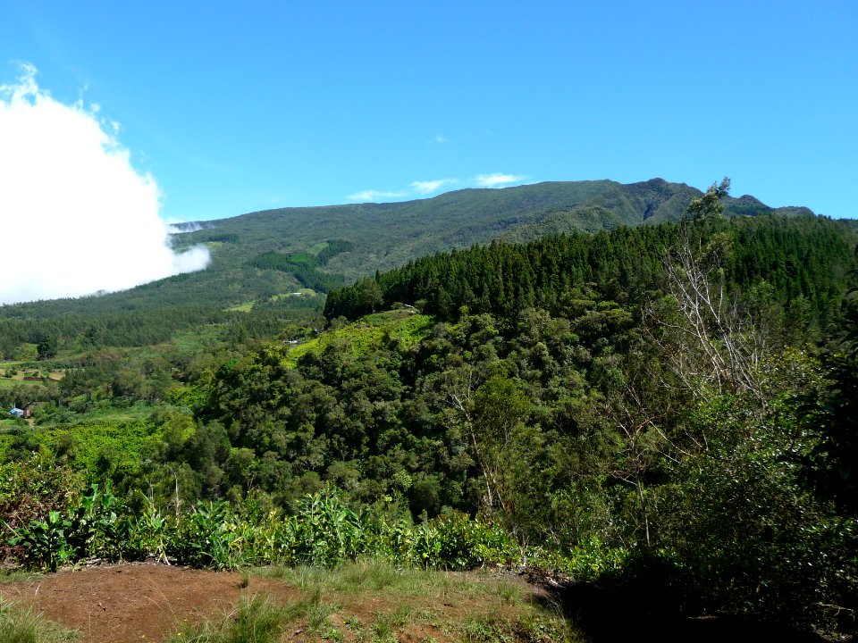 Forêt départemento-domaniale des Makes, de gros nuages bla… 