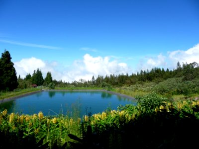 Retenue d'eau de Montplaisir 