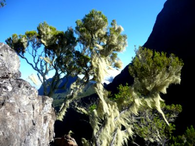 Encore ce bleu du ciel et le vert-noir des pitons et relie… 