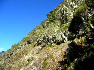 La trace se raidit juste sous la crête en montant vers l'a… 