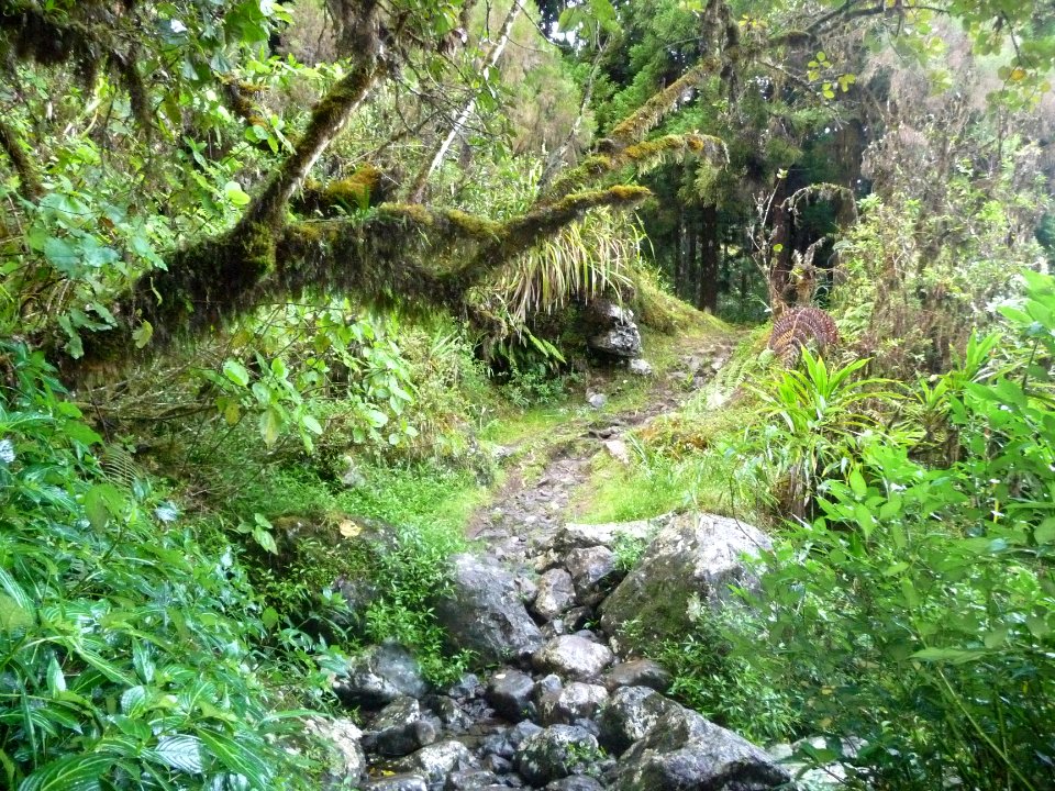 Le chemin est très humide et glissante à chaque traversée … 