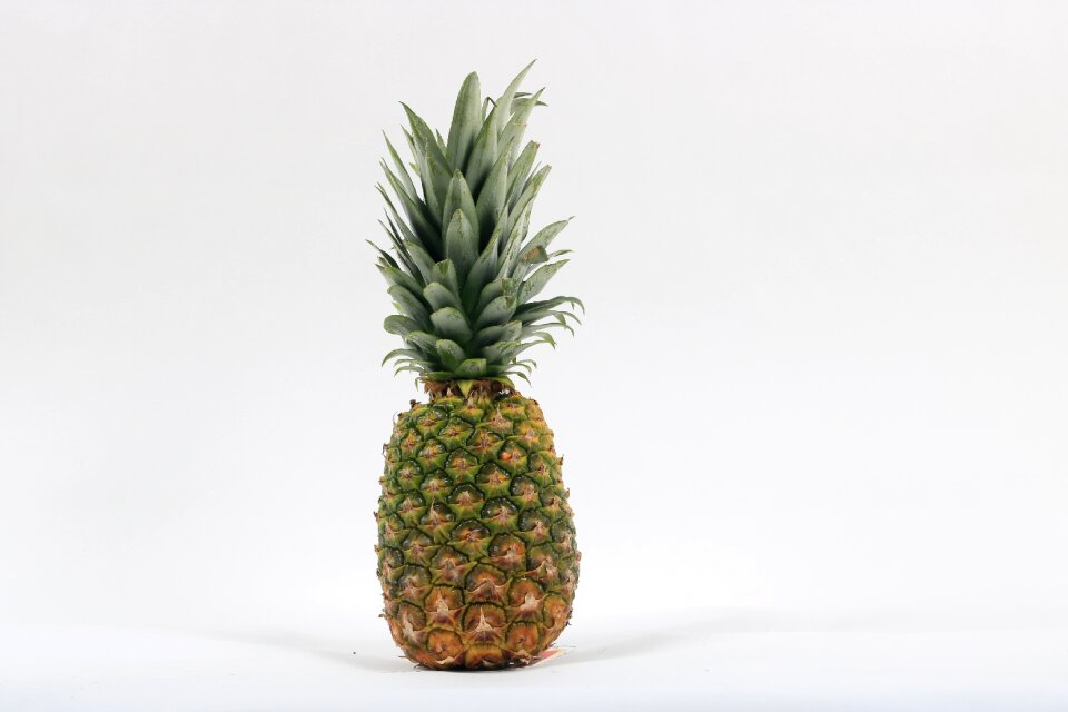 Pineapple fruit white background