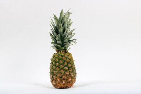 Pineapple fruit white background photo