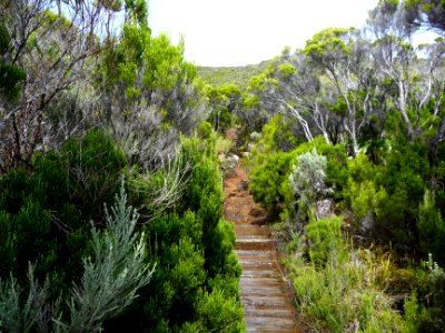 Des traverses en bois glissantes 