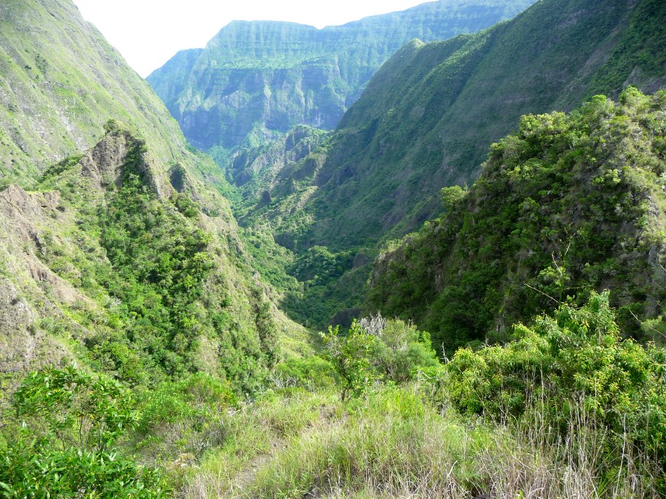 Descente dans le Bras des Merles, très sauvage 