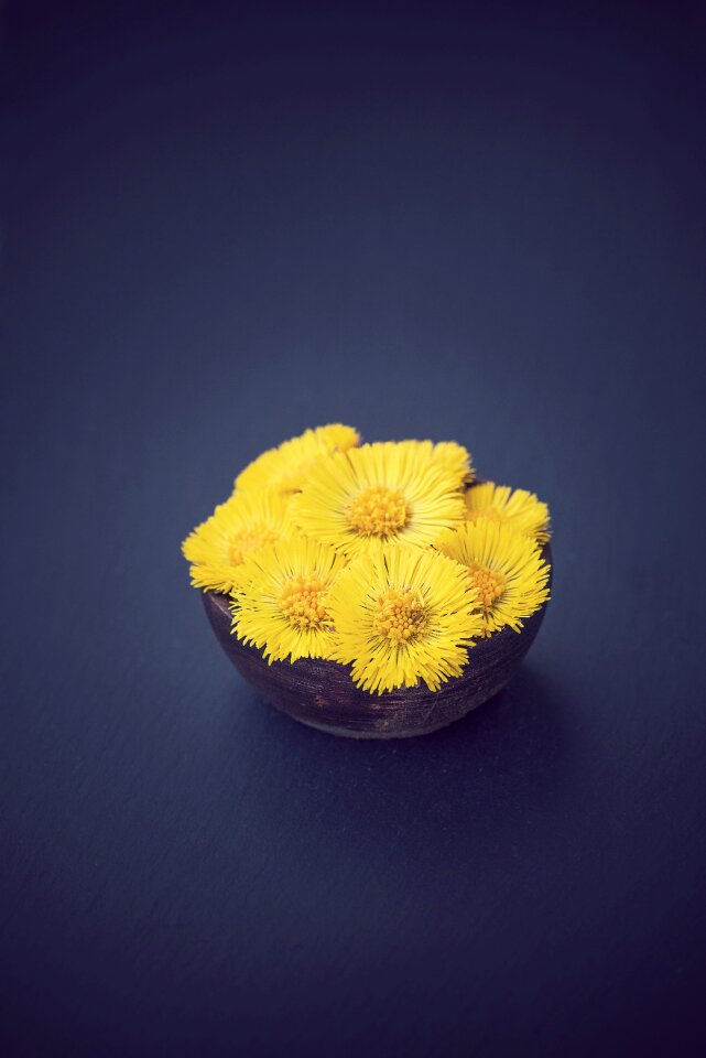 Yellow flowers yellow bowls