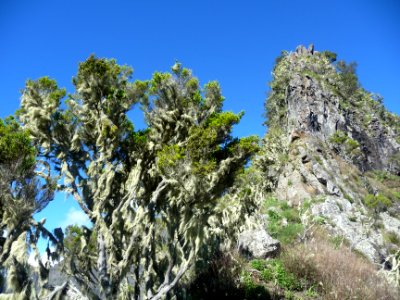 Approche au plus près, de la dernière arête qui ne se remo… 