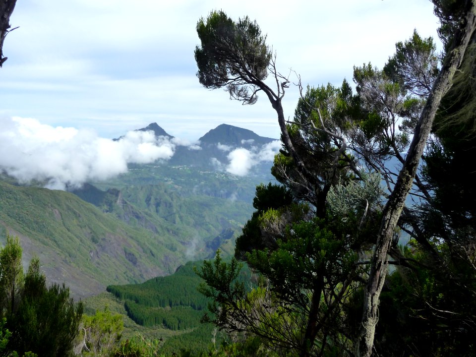 Le Cimendef, La Roche Ecrite, la Forêt de Terre Plate 
