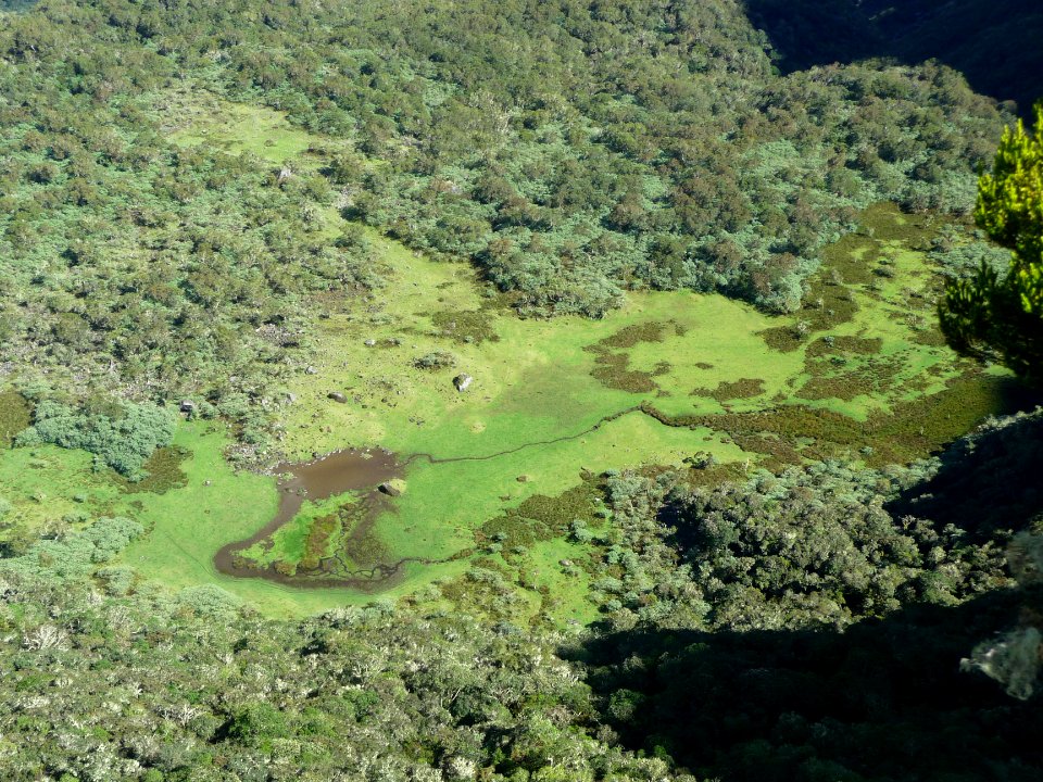 Plateau de Kerval avec une petite mare 