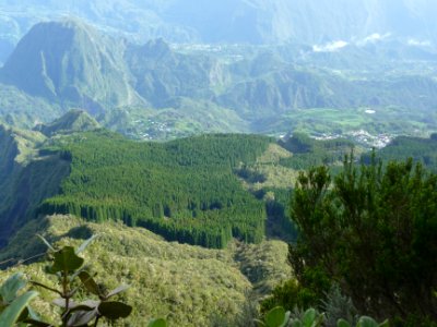 Le Piton d'Enchaing en haut à gauche et la forêt de Terre … 