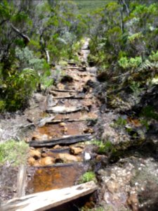 Le sentier permet au choix de glisser sur des traverses to… 