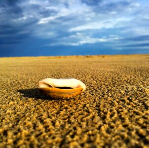 Sand beira mar sol photo