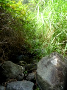 Une trace blanche en se retournant vers le haut, d'où je v… 