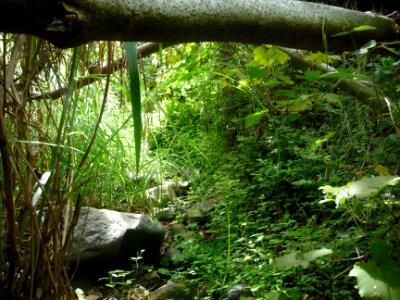 Le fond de la ravine est atteint, il faut maintenant ne pa… 