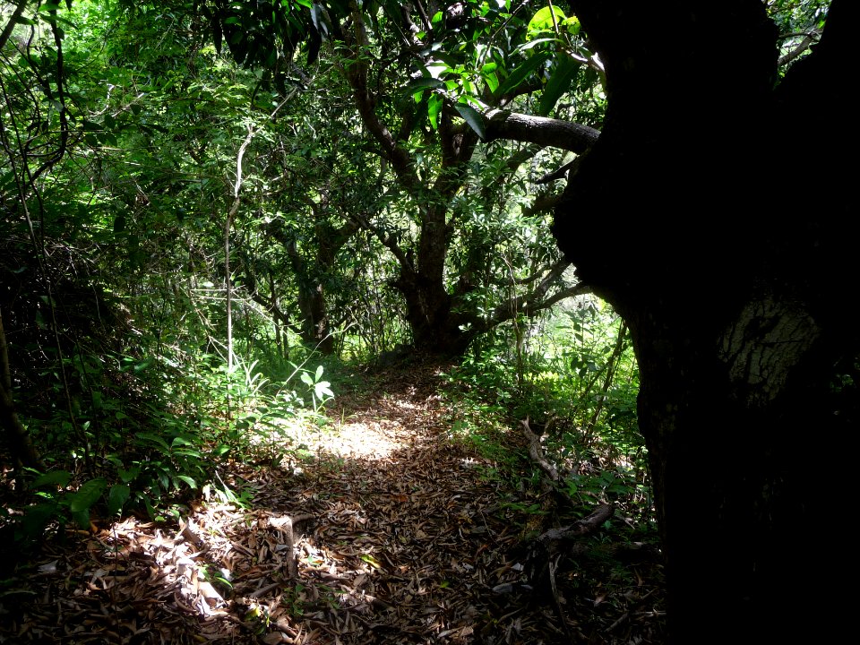 Passage au sec 