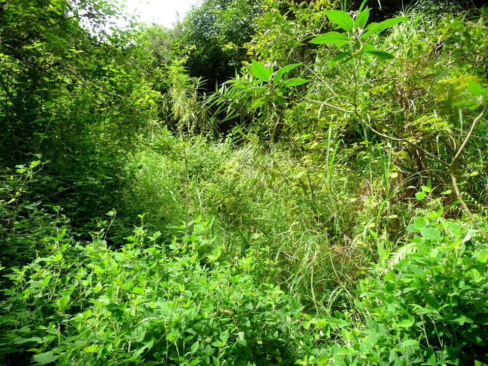 Vais-je m'en sortir de ce sentier vraiment limite ... ? 