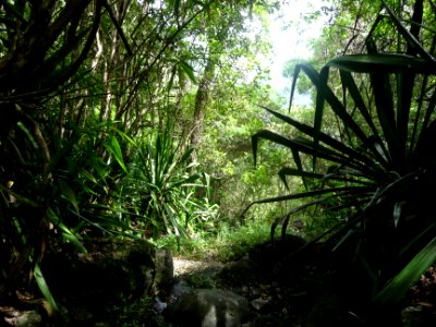 Un passage à l'ombre, avec un peu de fraîcheur bien agréab… 