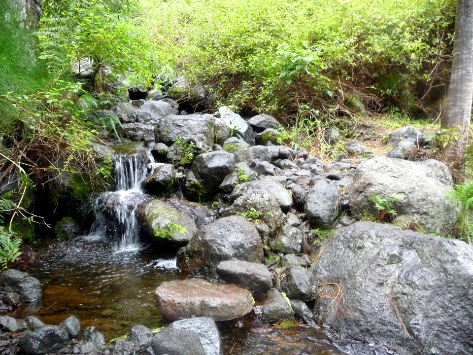 Bas du sentier à l'approche de la Rivière des Galets 