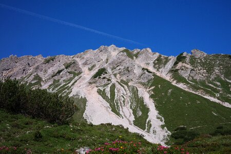 Cross allgäu alps meadow photo