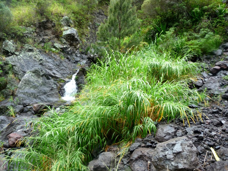 Petite ravine dont l'eau rebondit 