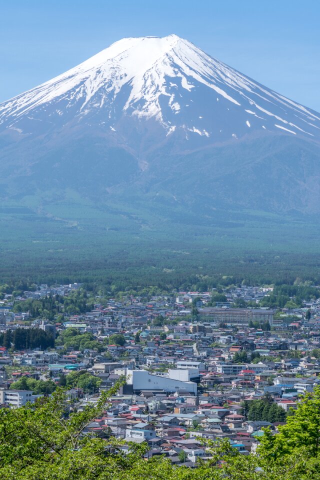 Japanese nature scene