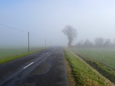 DSC03609 