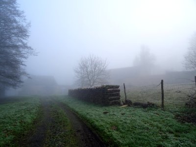 DSC03493 
