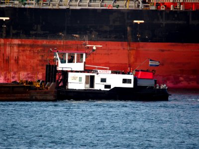 Noord - ENI 02317902, Calandkanaal, Port of Rotterdam