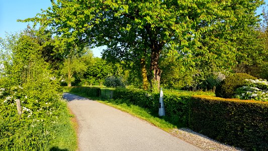Noorbeek-Sint-Martens-Voeren-Grenspaal 22 (BE-NL) (2)