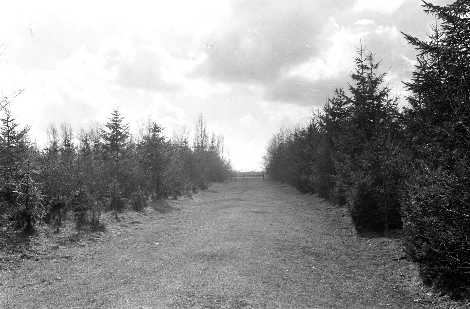 Noord Oost Polder Kuinderbos, Bestanddeelnr 922-3098